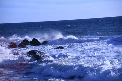 DSC_0586 (Large).JPG